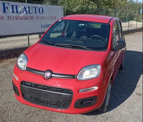 Annonce FIAT PANDA Essence 2020 d'occasion 