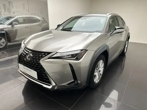 Used LEXUS UX Hybrid 2019 Ad 