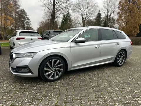 Annonce SKODA OCTAVIA Diesel 2020 d'occasion 