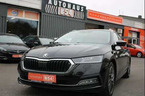 Annonce SKODA OCTAVIA Diesel 2023 d'occasion 