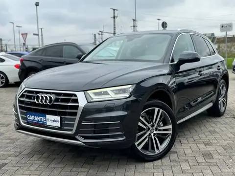 Used AUDI Q5 Diesel 2017 Ad 