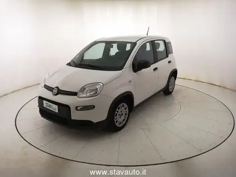 Annonce FIAT PANDA  2022 d'occasion 