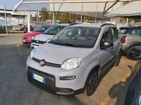 Used FIAT PANDA Hybrid 2021 Ad 