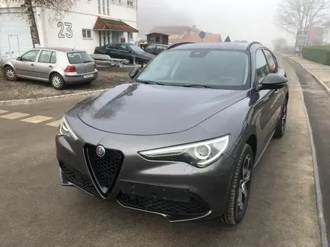 Used ALFA ROMEO STELVIO Petrol 2019 Ad 