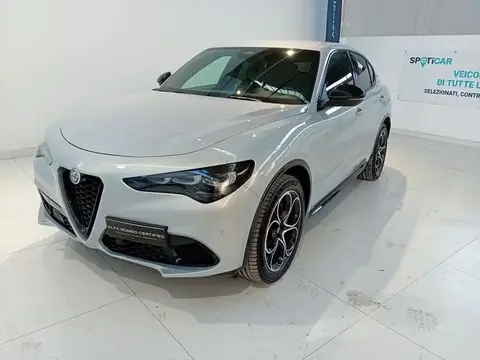 Used ALFA ROMEO STELVIO Diesel 2024 Ad 