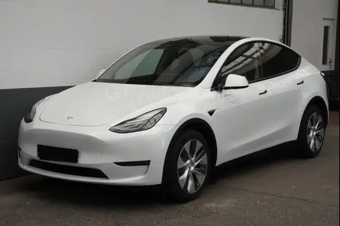 Used TESLA MODEL Y Not specified 2023 Ad 