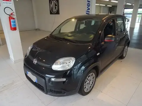 Used FIAT PANDA Hybrid 2023 Ad 