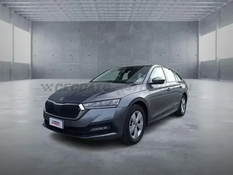 Used SKODA OCTAVIA Diesel 2023 Ad 