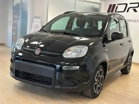 Used FIAT PANDA Hybrid 2022 Ad 