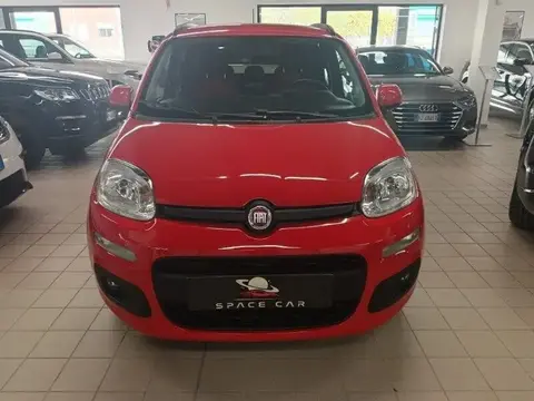 Used FIAT PANDA Petrol 2019 Ad 