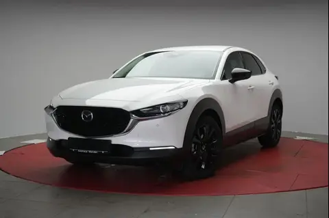 Annonce MAZDA CX-30 Essence 2024 d'occasion 