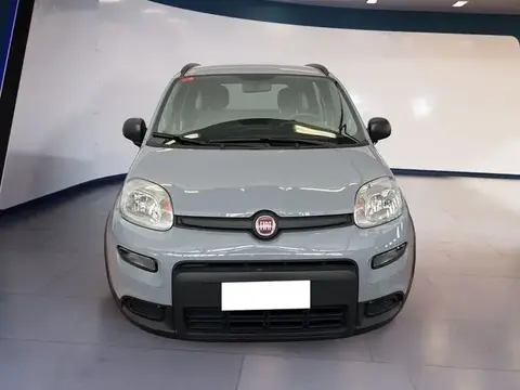 Used FIAT PANDA LPG 2022 Ad 