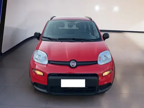 Used FIAT PANDA Hybrid 2021 Ad 