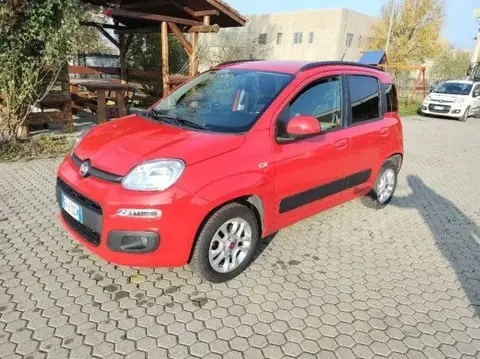 Used FIAT PANDA Petrol 2019 Ad 