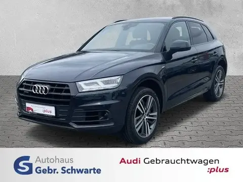 Used AUDI Q5 Diesel 2019 Ad 