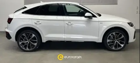 Used AUDI Q5 Hybrid 2023 Ad 