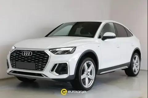 Used AUDI Q5 Hybrid 2023 Ad 