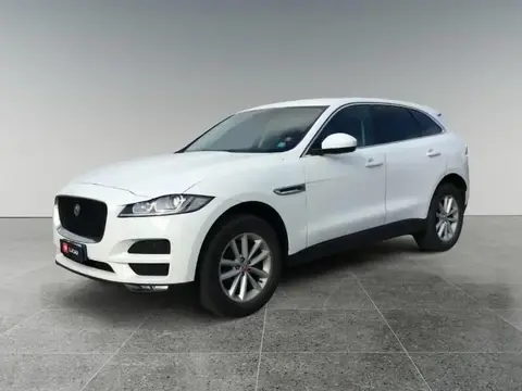 Annonce JAGUAR F-PACE Diesel 2016 d'occasion 