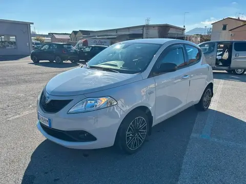 Used LANCIA YPSILON Hybrid 2021 Ad 