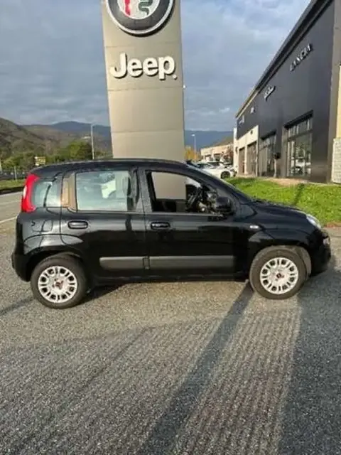 Annonce FIAT PANDA Essence 2020 d'occasion 