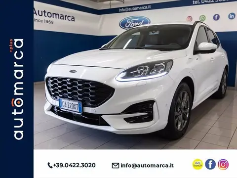 Used FORD KUGA Hybrid 2020 Ad 