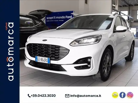 Annonce FORD KUGA Essence 2021 d'occasion 