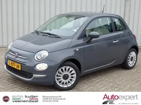 Used FIAT 500 Petrol 2021 Ad 