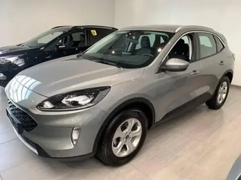 Annonce FORD KUGA Essence 2020 d'occasion 