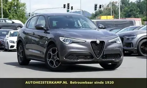 Annonce ALFA ROMEO STELVIO Diesel 2021 d'occasion 