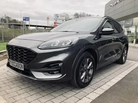 Annonce FORD KUGA Diesel 2020 d'occasion 