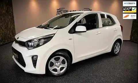 Annonce KIA PICANTO Essence 2021 d'occasion 