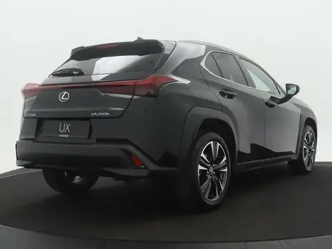 Annonce LEXUS UX Hybride 2023 d'occasion 