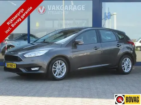 Used FORD FOCUS Petrol 2016 Ad 