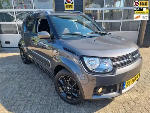 Used SUZUKI IGNIS Petrol 2019 Ad 