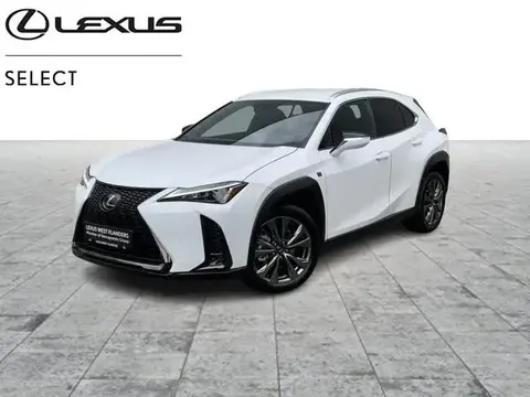 Used LEXUS UX Hybrid 2023 Ad 