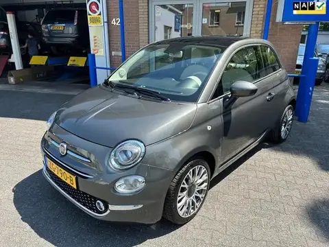 Used FIAT 500 Petrol 2019 Ad 