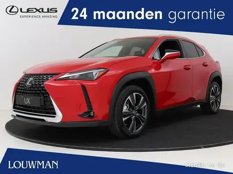 Used LEXUS UX Hybrid 2023 Ad 