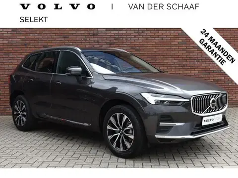 Used VOLVO XC60 Petrol 2023 Ad 