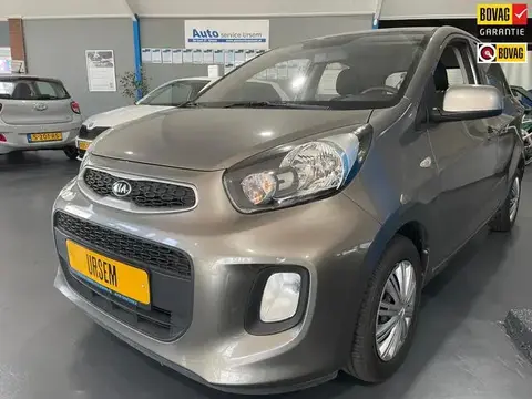 Used KIA PICANTO Petrol 2016 Ad 