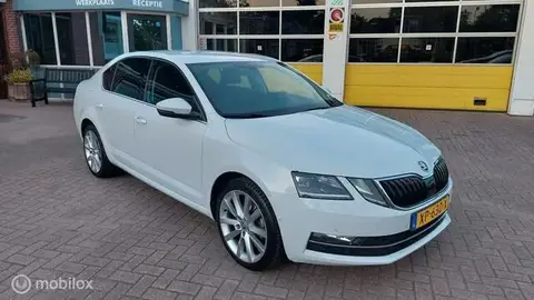 Used SKODA OCTAVIA Petrol 2019 Ad 