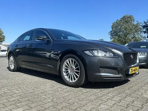 Annonce JAGUAR XF Diesel 2019 d'occasion 