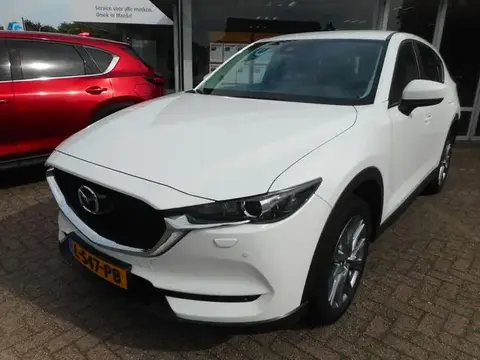 Used MAZDA CX-5 Petrol 2021 Ad 