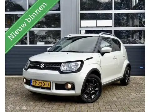 Used SUZUKI IGNIS Petrol 2018 Ad 