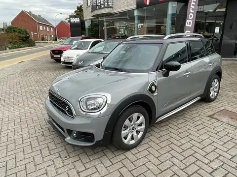 Used MINI COOPER Not specified 2019 Ad 