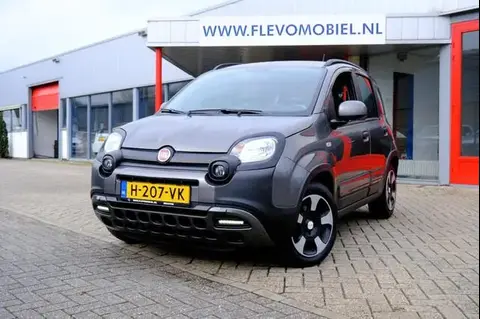 Used FIAT PANDA Petrol 2020 Ad 