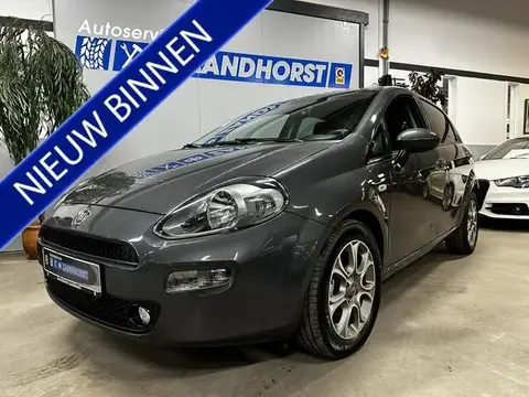 Annonce FIAT PUNTO Essence 2016 d'occasion 