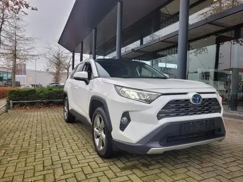 Used TOYOTA RAV4 Hybrid 2019 Ad 