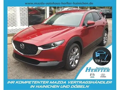 Annonce MAZDA CX-30 Essence 2020 d'occasion 