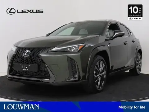 Annonce LEXUS UX Hybride 2024 d'occasion 