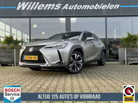 Used LEXUS UX Hybrid 2020 Ad 